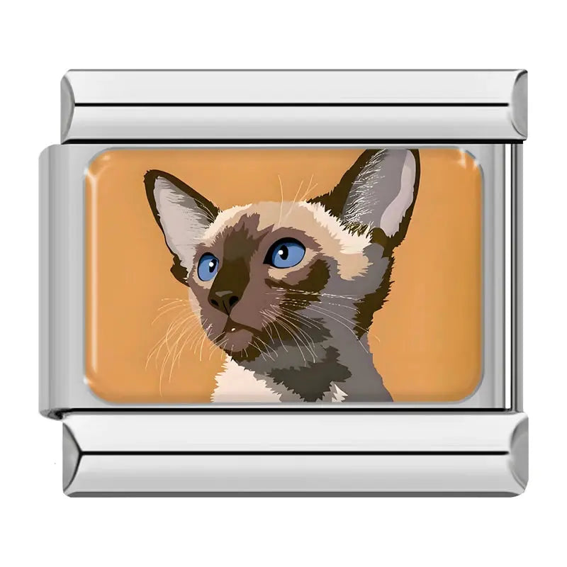 Chat Yeux Bleu Charmsy