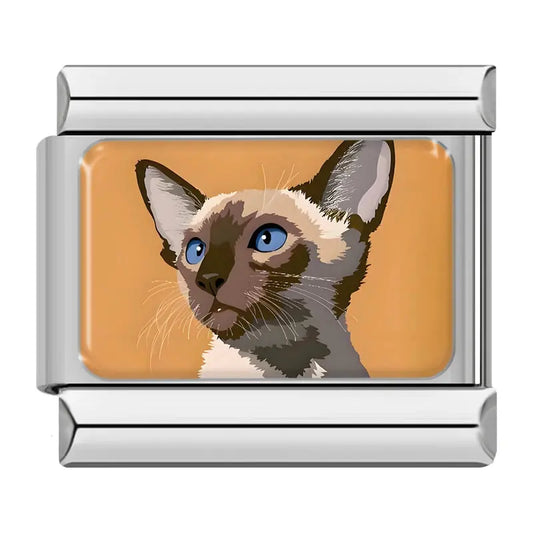 Chat Yeux Bleu Charmsy