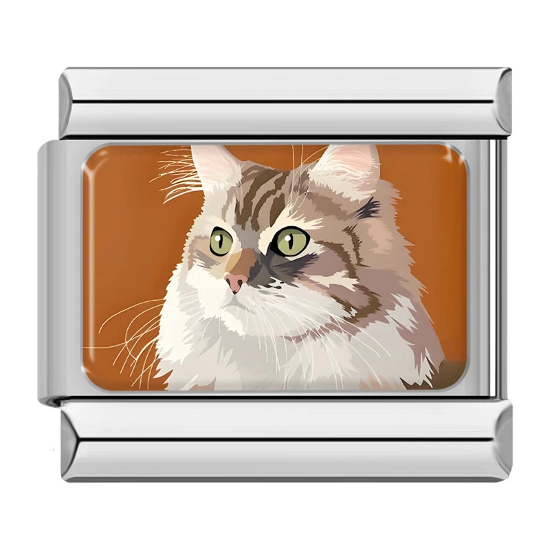 Maine coon