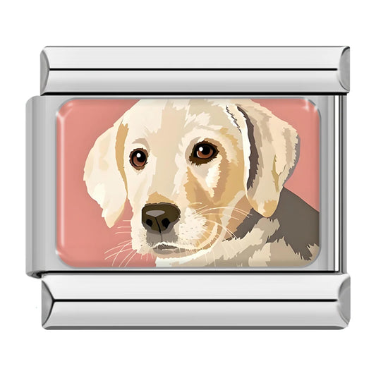 Labrador