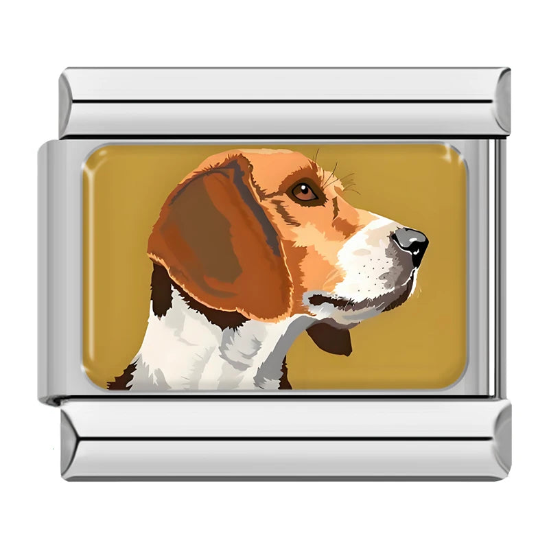 Beagle