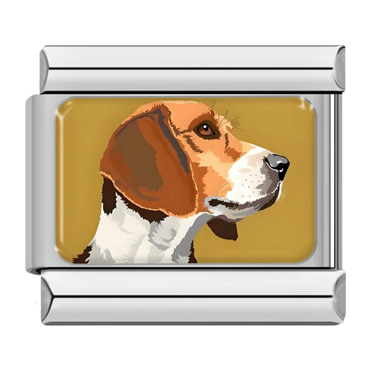 Beagle