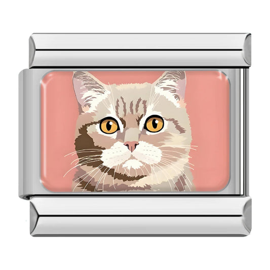 Chat