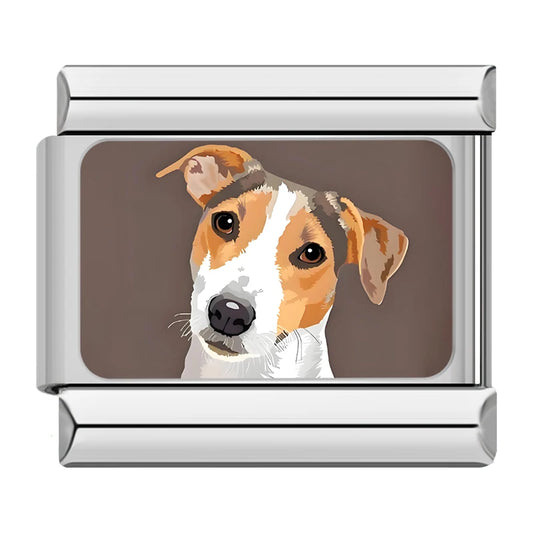 Jack Russell