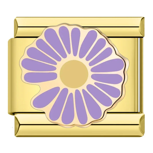 Pâquerette Violette
