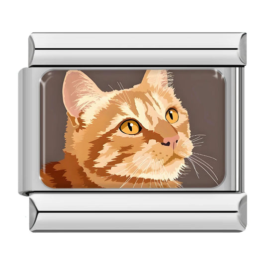 Chat Roux