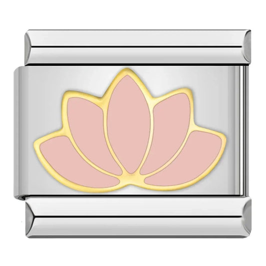Nénuphar rose
